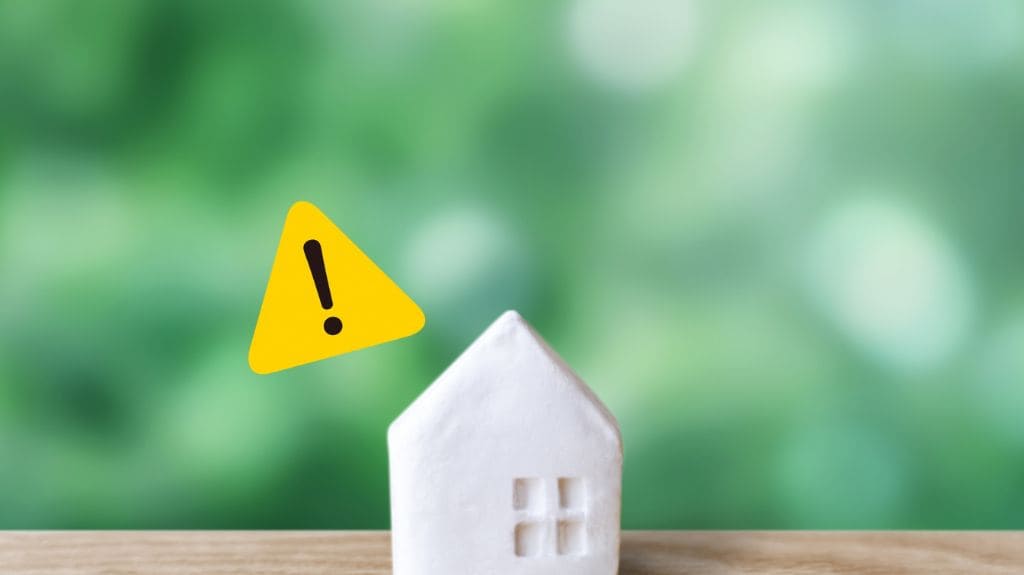 ネズミを嫌いな匂いで追い出す際の注意点