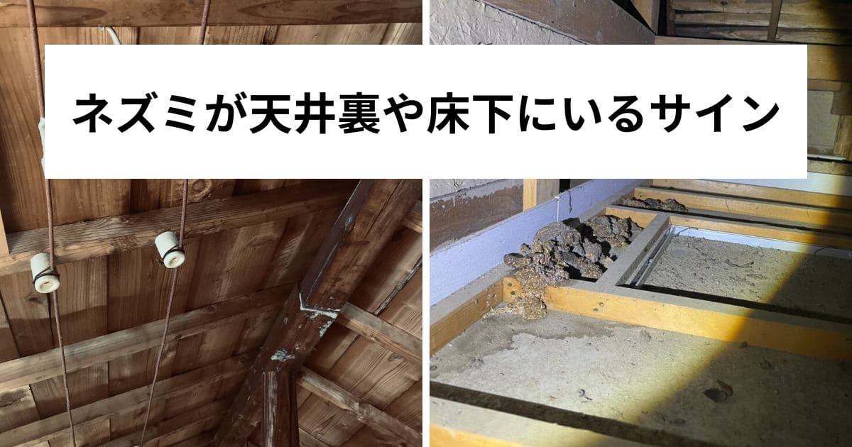ネズミが天井裏や床下にいるサイン