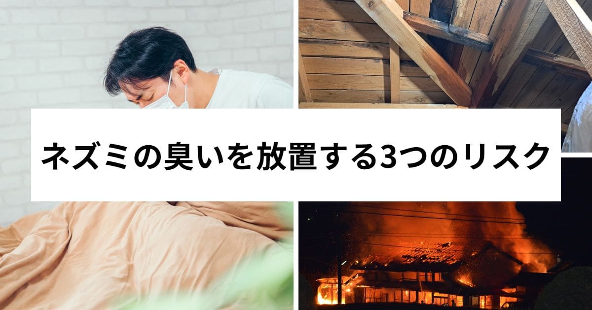 ネズミの臭いを放置する3つのリスク