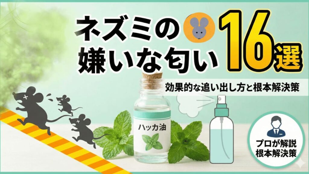 ネズミの嫌いな匂い16選！効果的な追い出し方と根本解決策をプロが解説