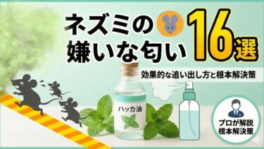 ネズミの嫌いな匂い16選！効果的な追い出し方と根本解決策をプロが解説