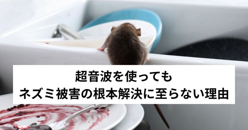 超音波を使ってもネズミ被害の根本解決に至らない理由