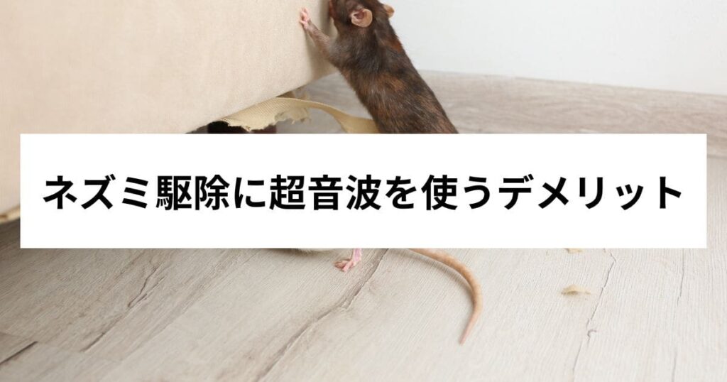 ネズミ駆除に超音波を使うデメリット