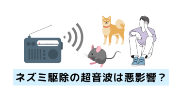 ネズミ駆除の超音波は悪影響？ペットに害がないのか解説！