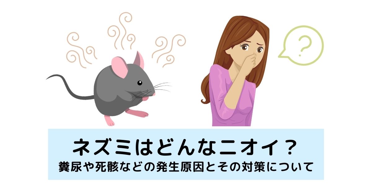 ネズミはどんなニオイ？糞尿や死骸などの発生原因とその対策について - 駆除PLUS - 害獣駆除のプロが解説するお役立ち情報サイト