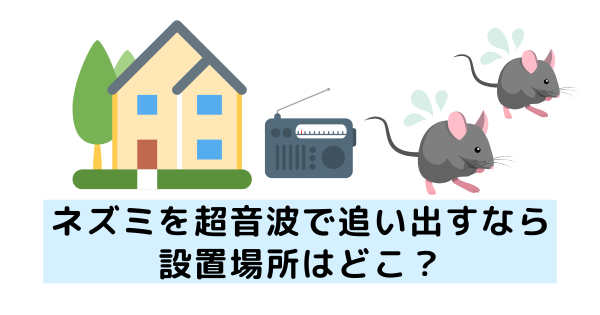 ネズミを超音波で追い出すなら設置場所はどこ 天井裏でも使える 害獣駆除plus プロが解説するお役立ち情報サイト ネズミを超音波で追い出すなら設置場所はどこ 天井裏でも使える 害獣駆除plus プロが解説するお役立ち情報サイト