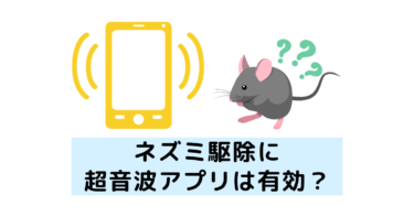 ネズミ駆除に超音波アプリは有効？嫌いな音で追い出せるかプロが検証！