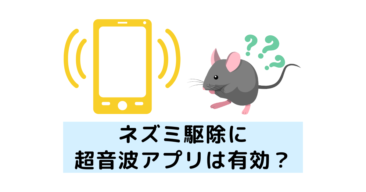 ネズミ駆除に超音波アプリは有効 嫌いな音で追い出せるかプロが検証 害獣駆除plus プロが解説するお役立ち情報サイト