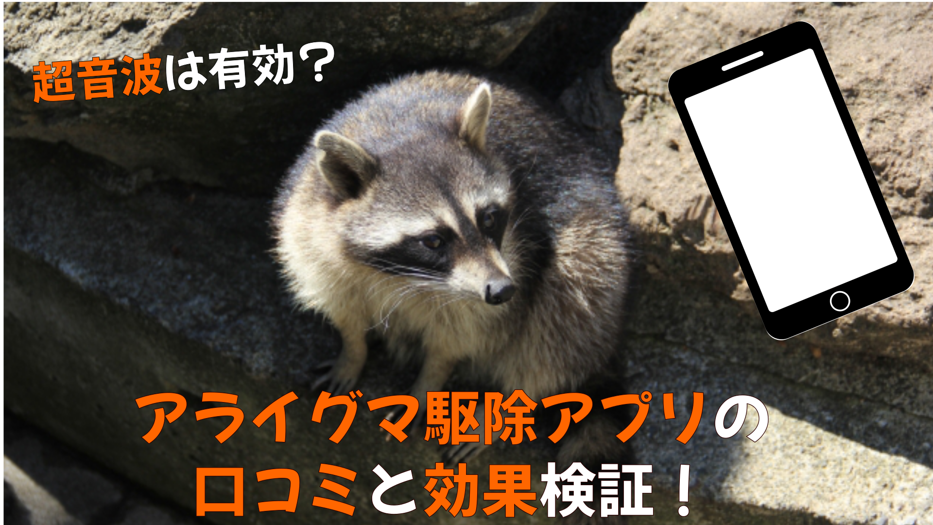 アライグマ駆除アプリの口コミと効果検証 超音波は有効 害獣駆除plus プロが解説するお役立ち情報サイト