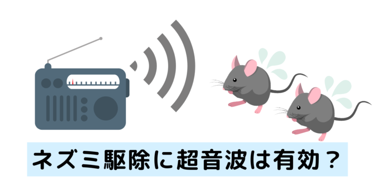 ネズミ駆除に超音波は有効？効果からメリット・デメリットまで解説！