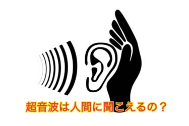 イタチコラム 屋内まで漂う糞尿の悪臭対策について 害獣駆除plus プロが解説するお役立ち情報サイト