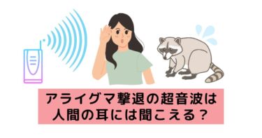 アライグマ撃退の超音波は人間の耳には聞こえる？周波数などについて