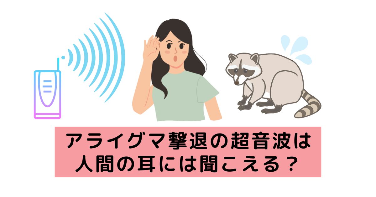 アライグマ撃退の超音波は人間の耳には聞こえる 周波数などについて 害獣駆除plus プロが解説するお役立ち情報サイト