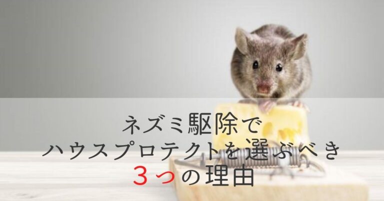 ネズミ駆除でハウスプロテクトを選ぶべき３つの理由 技術力や評判は 害獣駆除plus プロが解説するお役立ち情報サイト