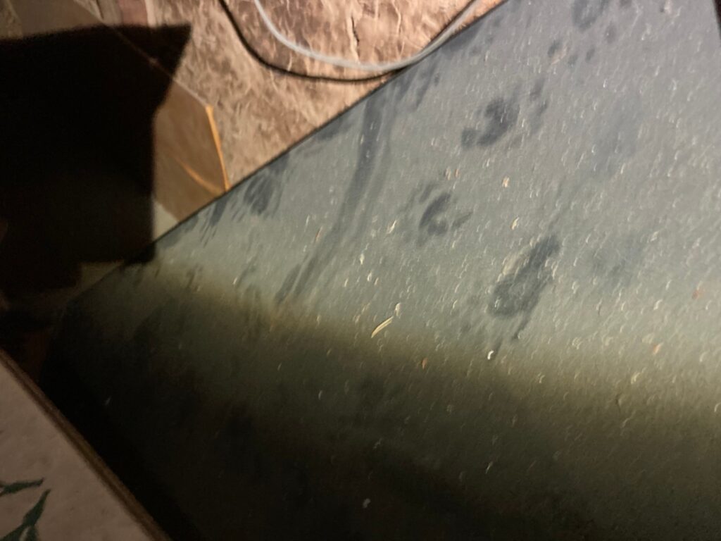 アライグマ、イタチ、ハクビシン他】足跡やフンによる害獣の判別方法 