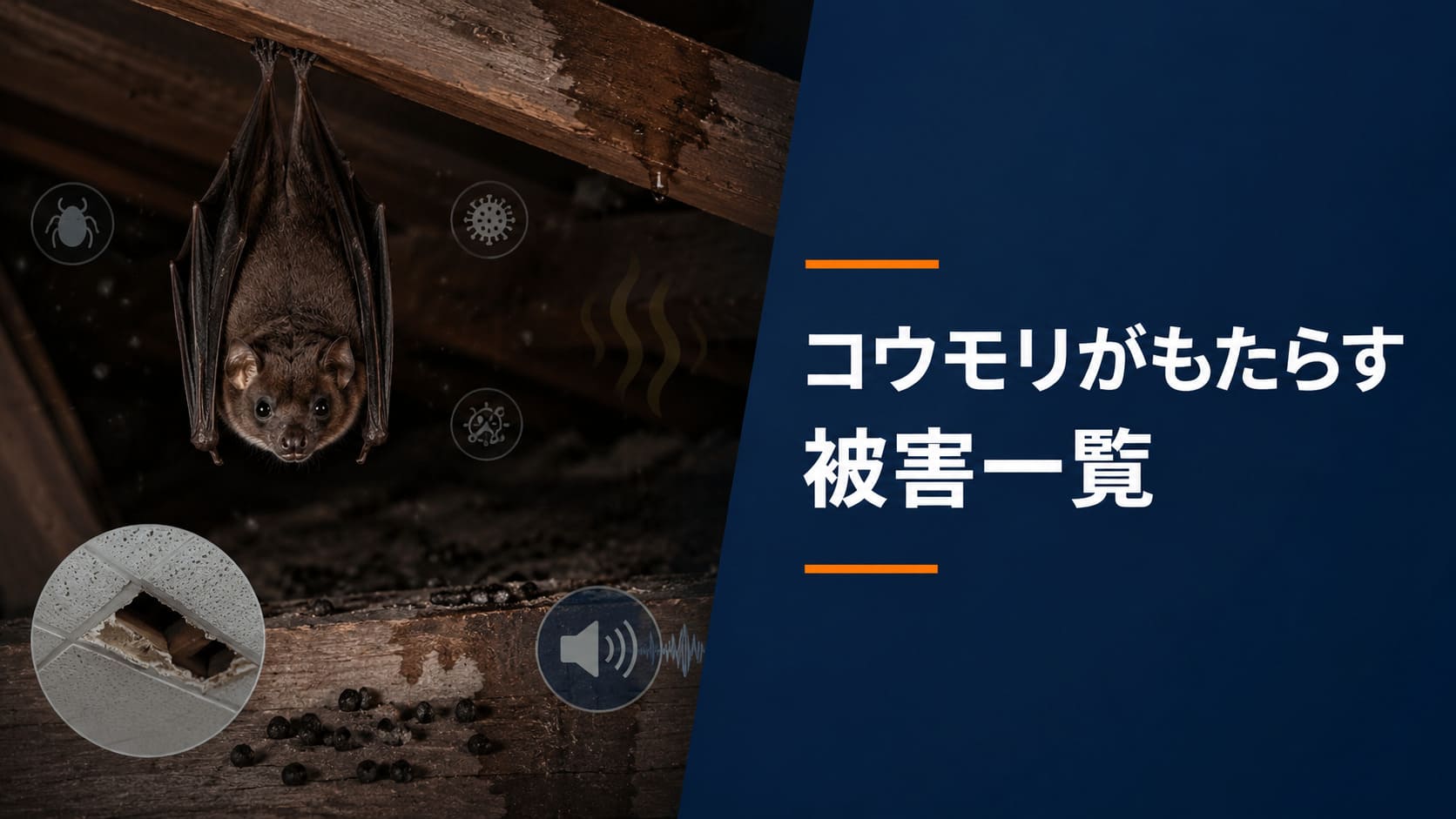コウモリがもたらす被害一覧