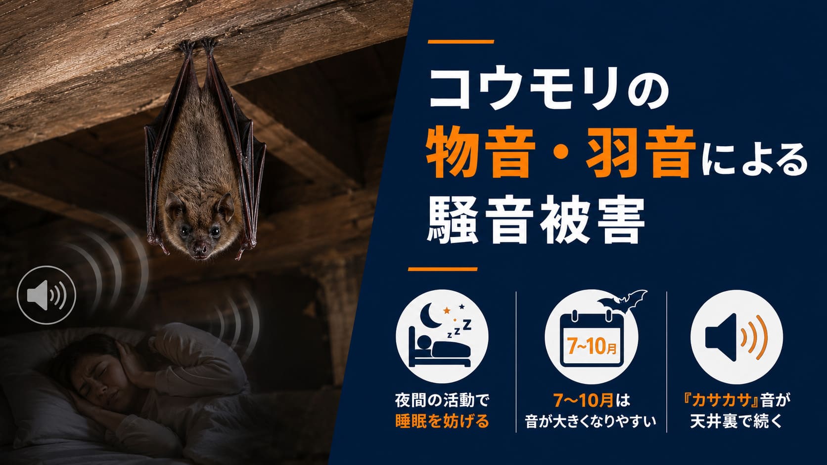 コウモリの物音・羽音による騒音被害