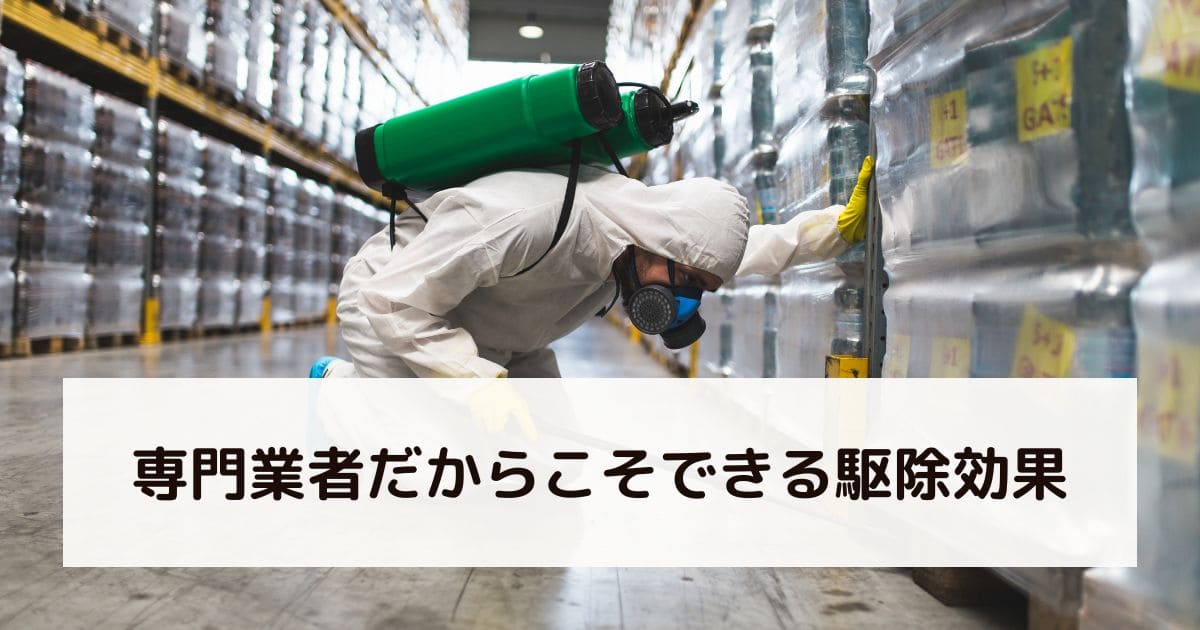 専門業者だからこそできる駆除効果