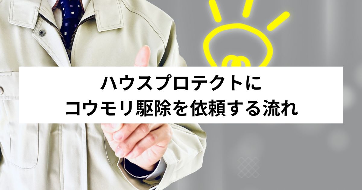 ハウスプロテクトにコウモリ駆除を依頼する流れ