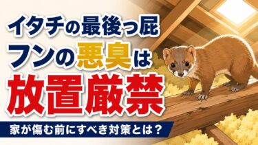 イタチのフン被害は放置厳禁｜悪臭・最後っ屁の正体と家を守る対処法