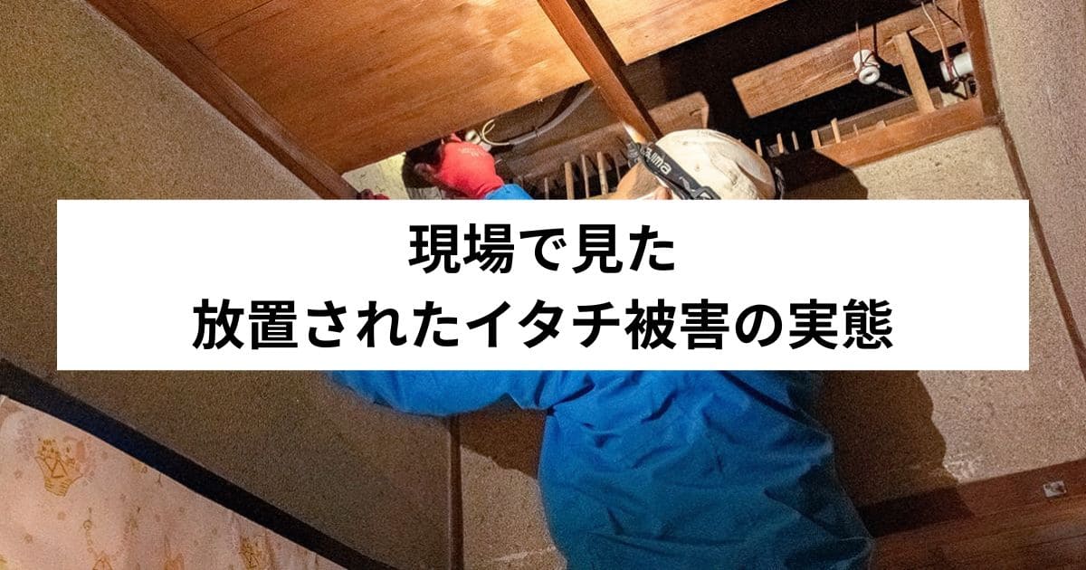現場で見た、放置されたイタチ被害の実態