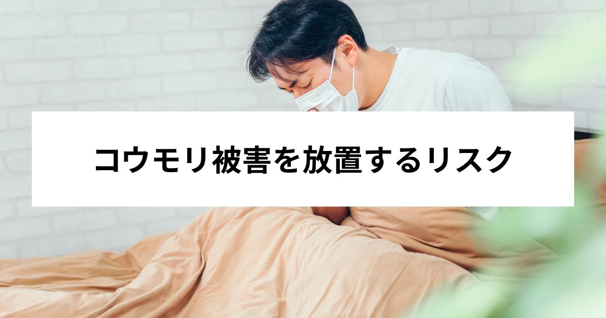 コウモリ被害を放置するリスク