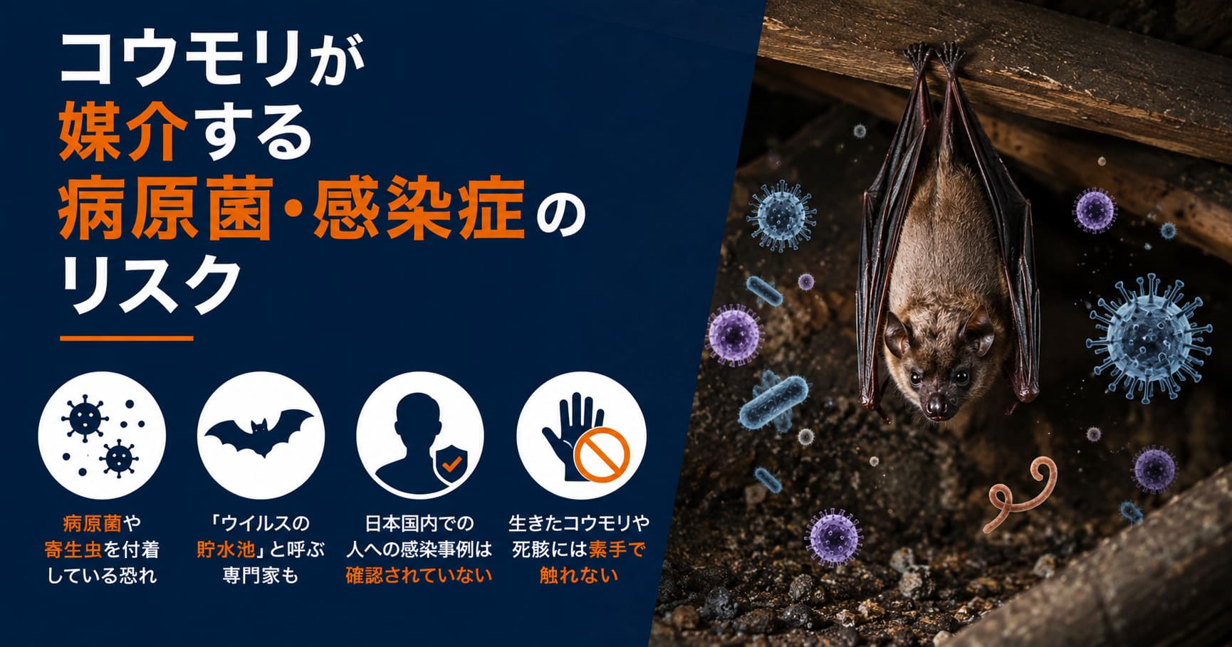 コウモリが媒介する病原菌・感染症のリスク