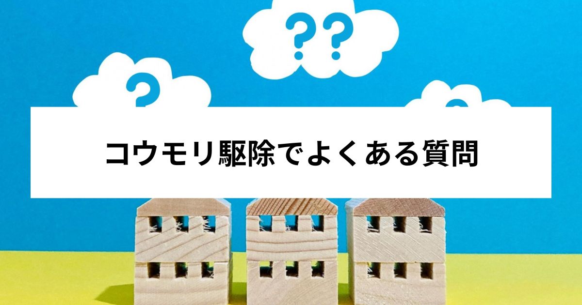 コウモリ駆除でよくある質問
