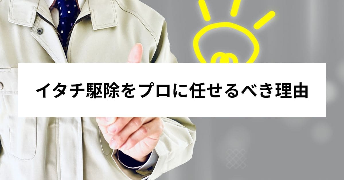 イタチ駆除をプロに任せるべき理由