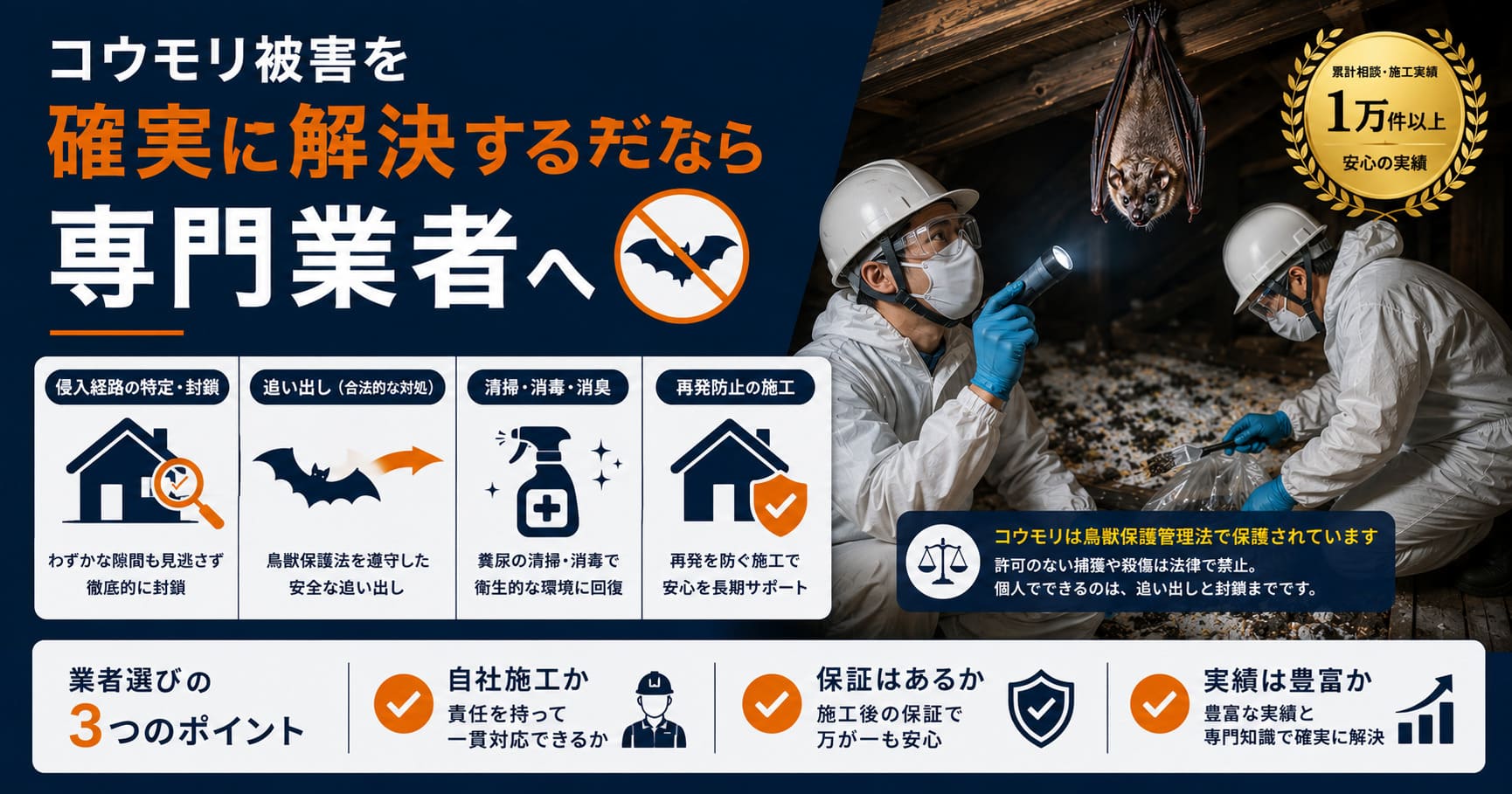 コウモリ被害を確実に解決するなら専門業者へ