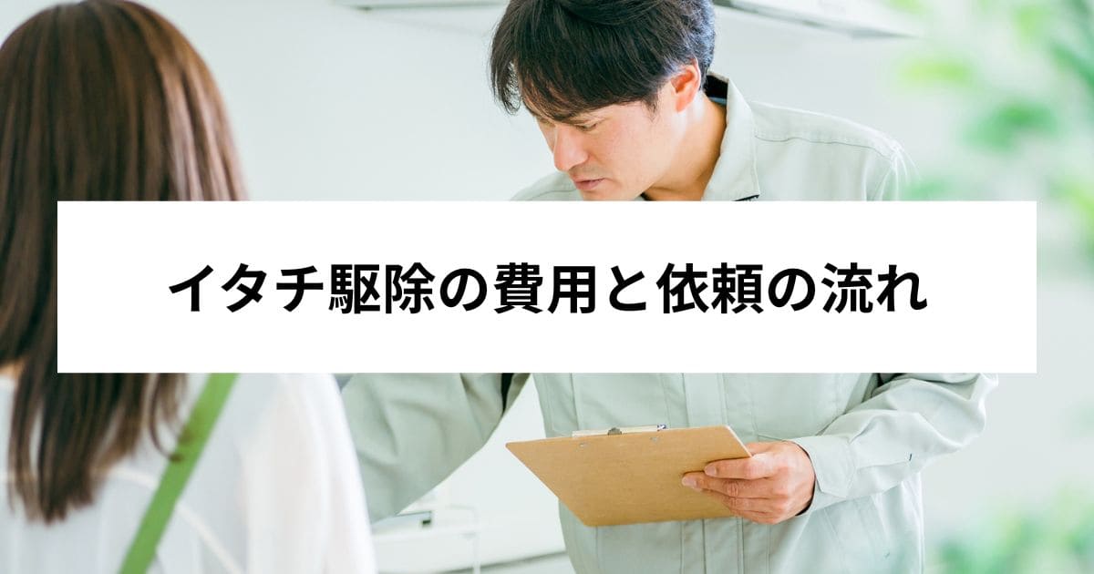 イタチ駆除の費用と依頼の流れ