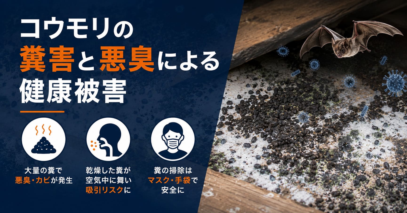コウモリの糞害と悪臭による健康被害