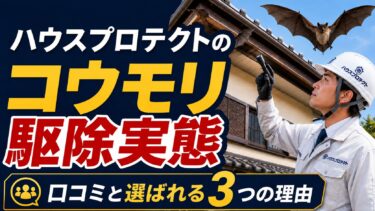 ハウスプロテクトにコウモリ駆除を依頼した人の口コミを紹介