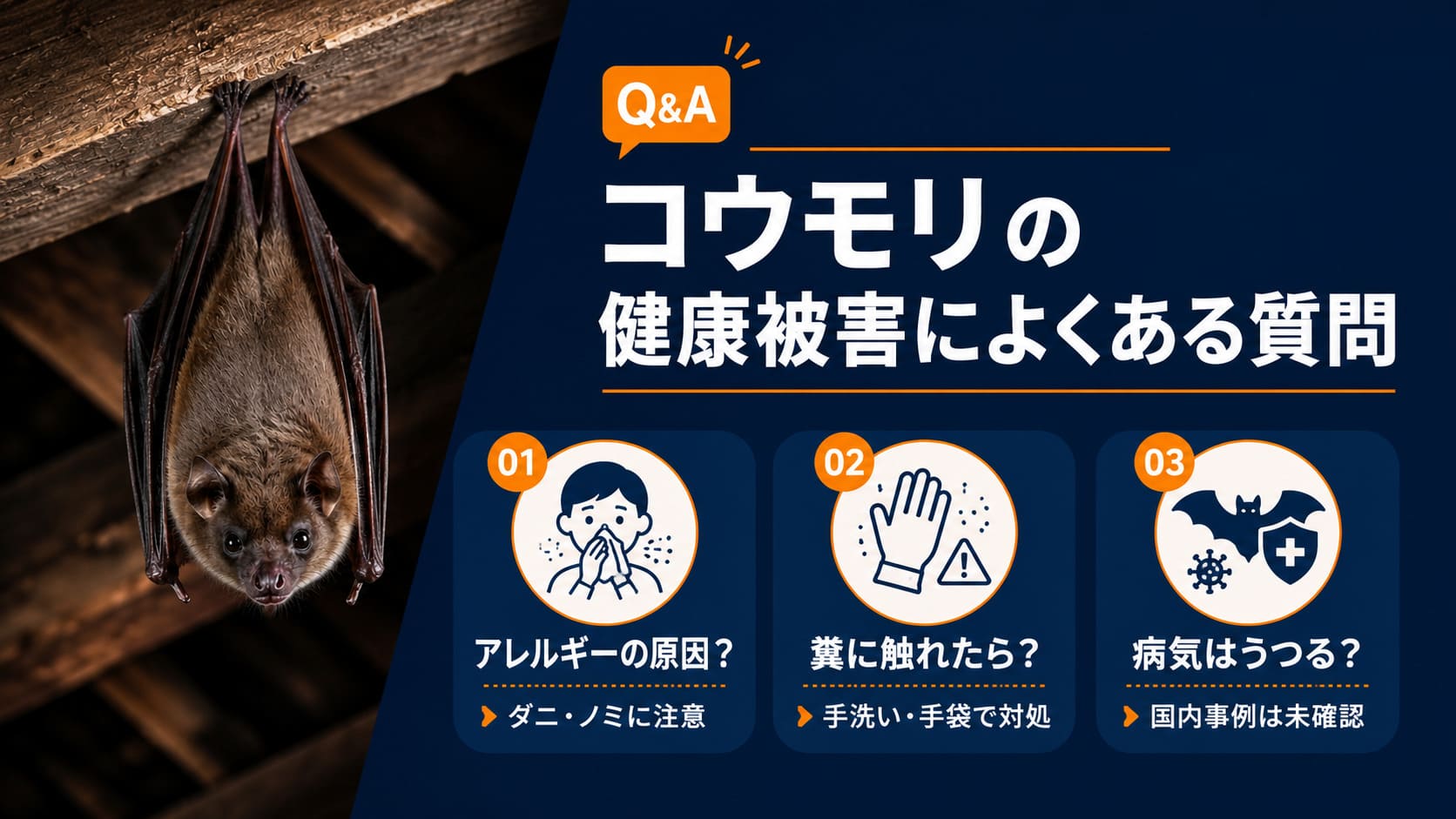 コウモリの健康被害によくある質問