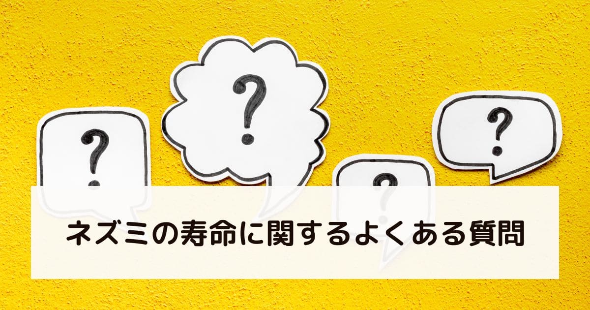 ネズミの寿命に関するよくある質問
