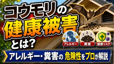 koumori-kenkou-higai-eyecatch-final