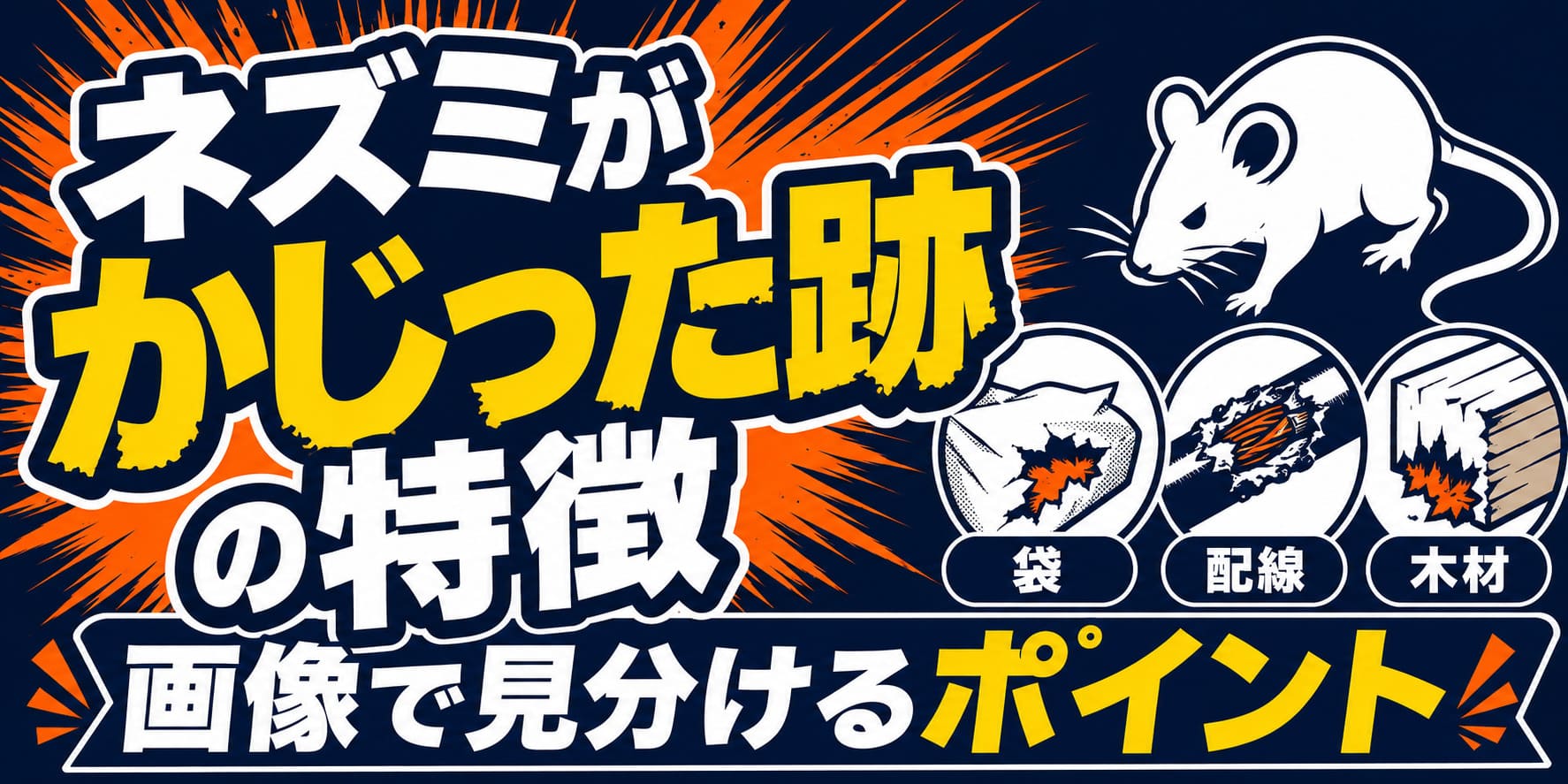 ネズミがかじった跡の特徴|画像で見分けるポイント