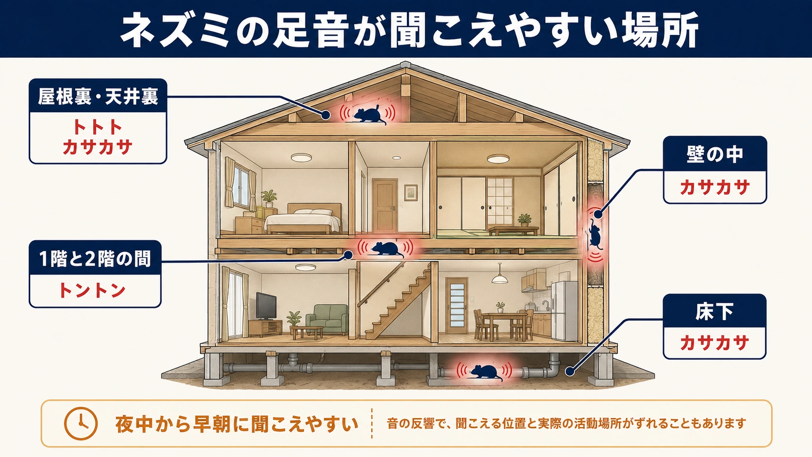 ネズミらしい足音がしたときの記録・食品密閉・隙間確認・管理会社への連絡