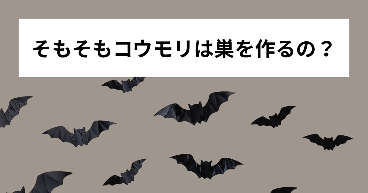 そもそもコウモリは巣を作るの？