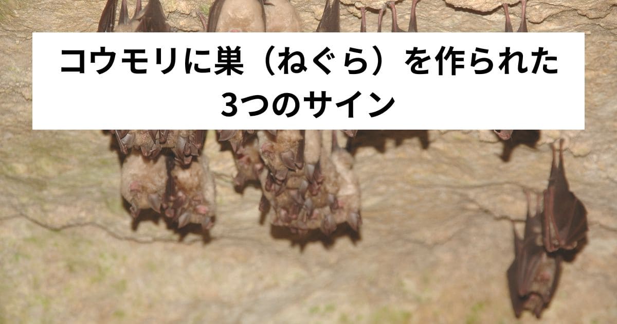 コウモリに巣（ねぐら）を作られた3つのサイン