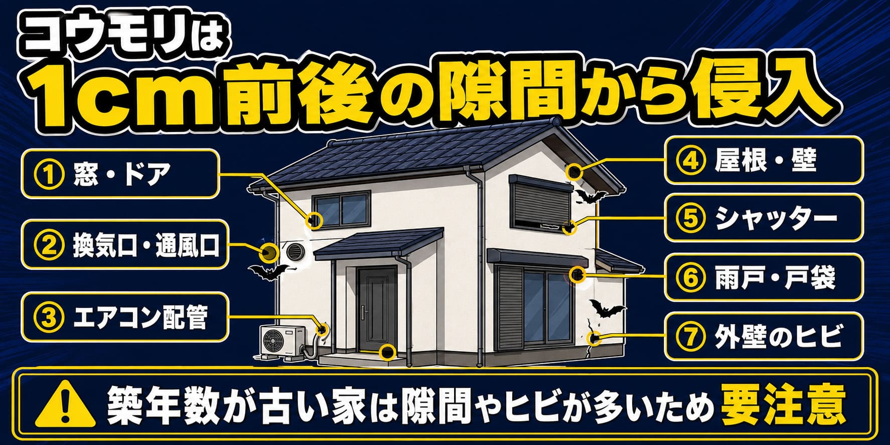 コウモリの侵入経路