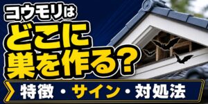 コウモリはどこに巣を作る？特徴や家にいるサイン、見つけた時の対処法を解説