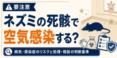 ネズミの死骸で空気感染する？病気・感染症のリスクと処理・相談の判断基準