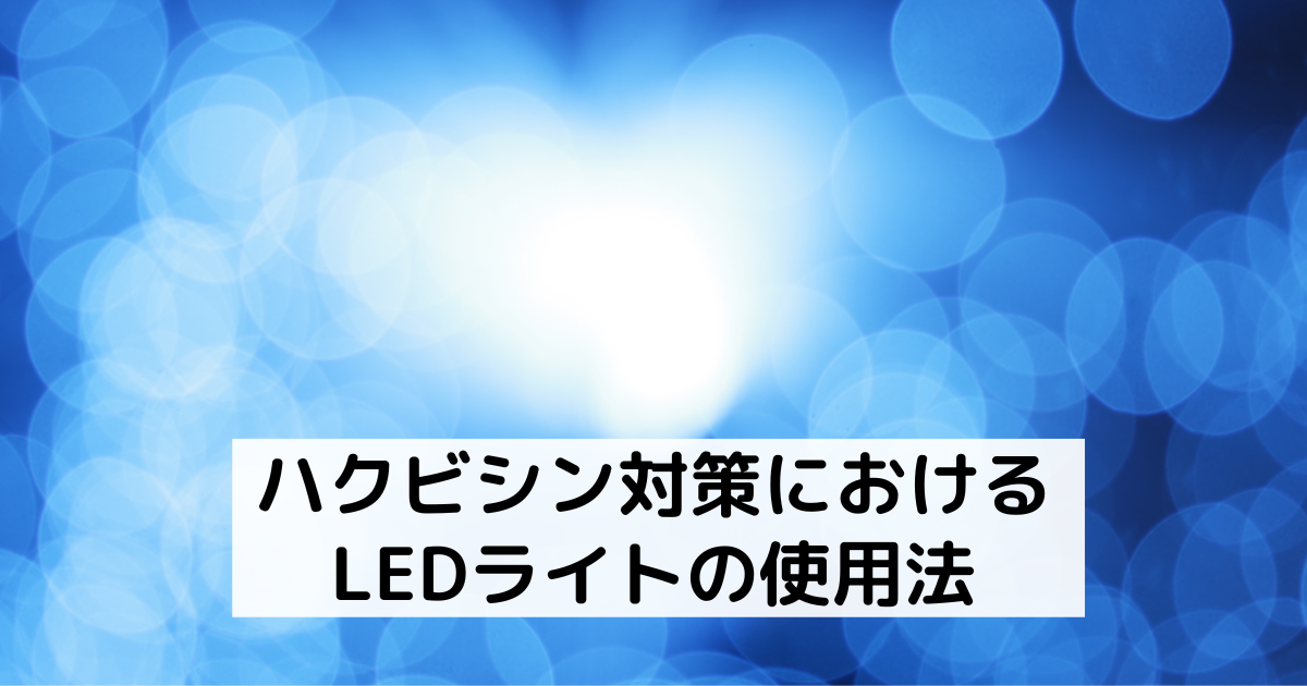 ハクビシン対策におけるLEDライトの使用法