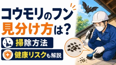 コウモリのフンの見分け方は？掃除方法と健康リスクも解説
