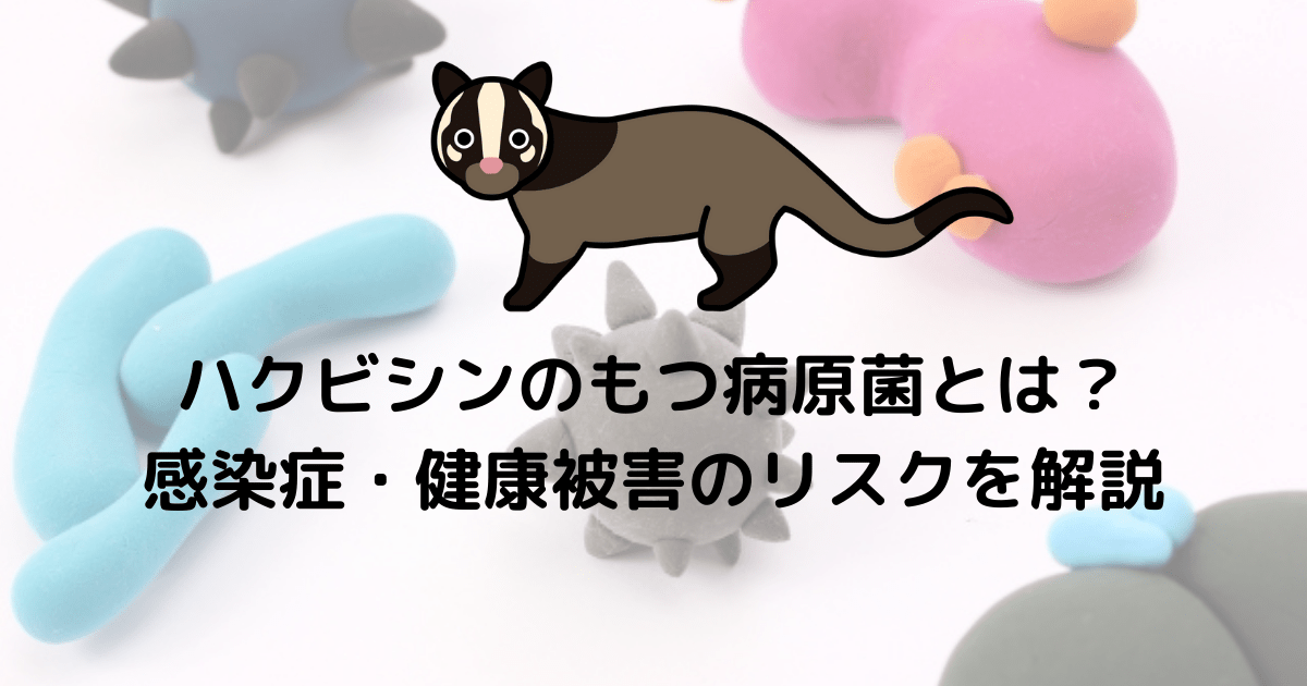ハクビシンのもつ病原菌とは 健康被害のリスクを解説 害獣駆除plus プロが解説するお役立ち情報サイト