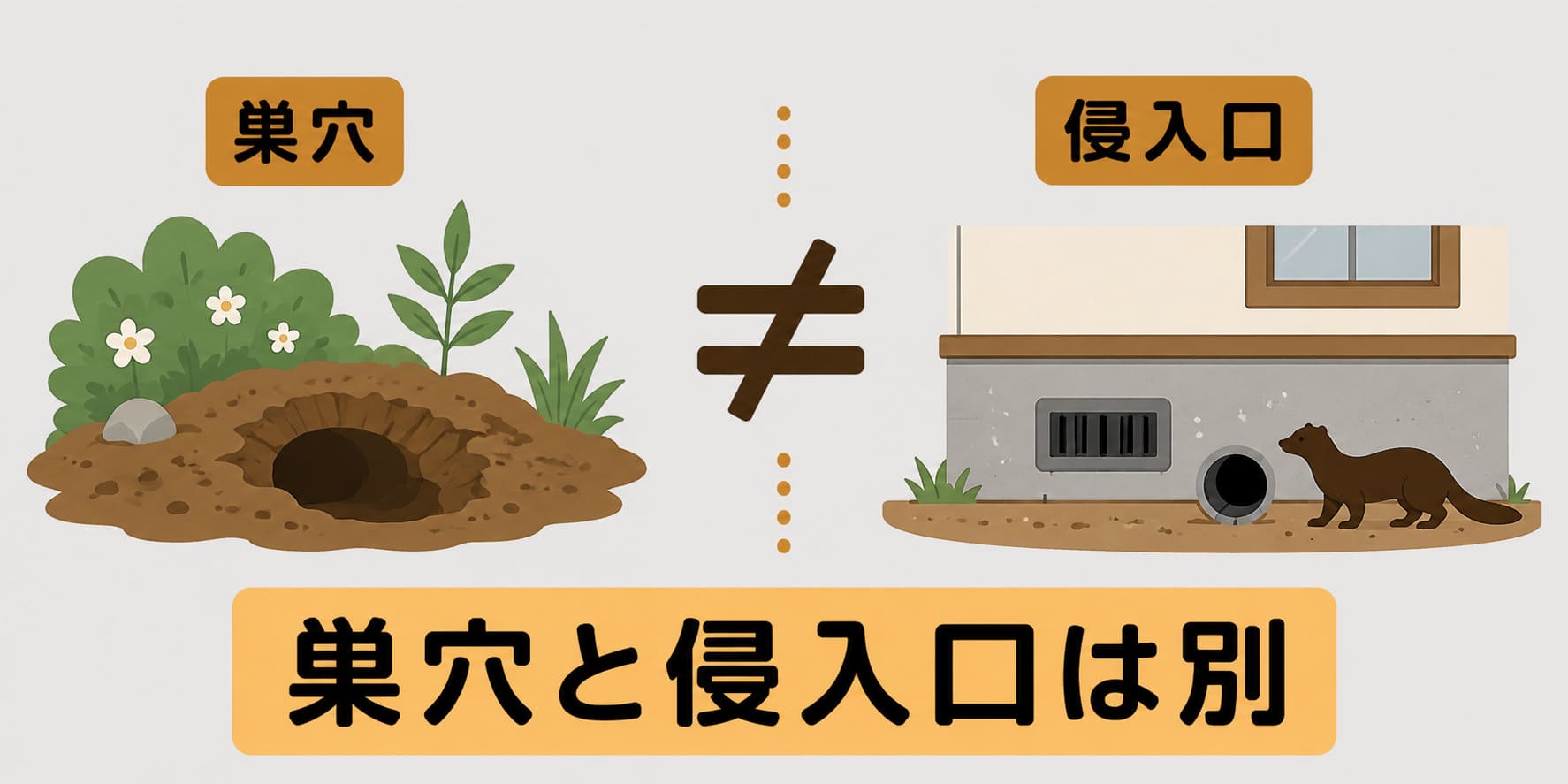 イタチの巣穴と住宅の侵入口は別に考える