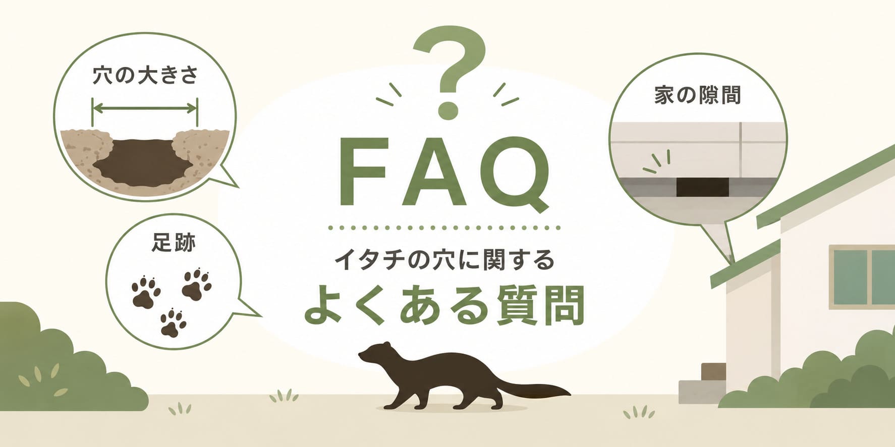 イタチの穴に関するよくある質問