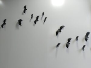 コウモリに噛まれたらどうなりますか?