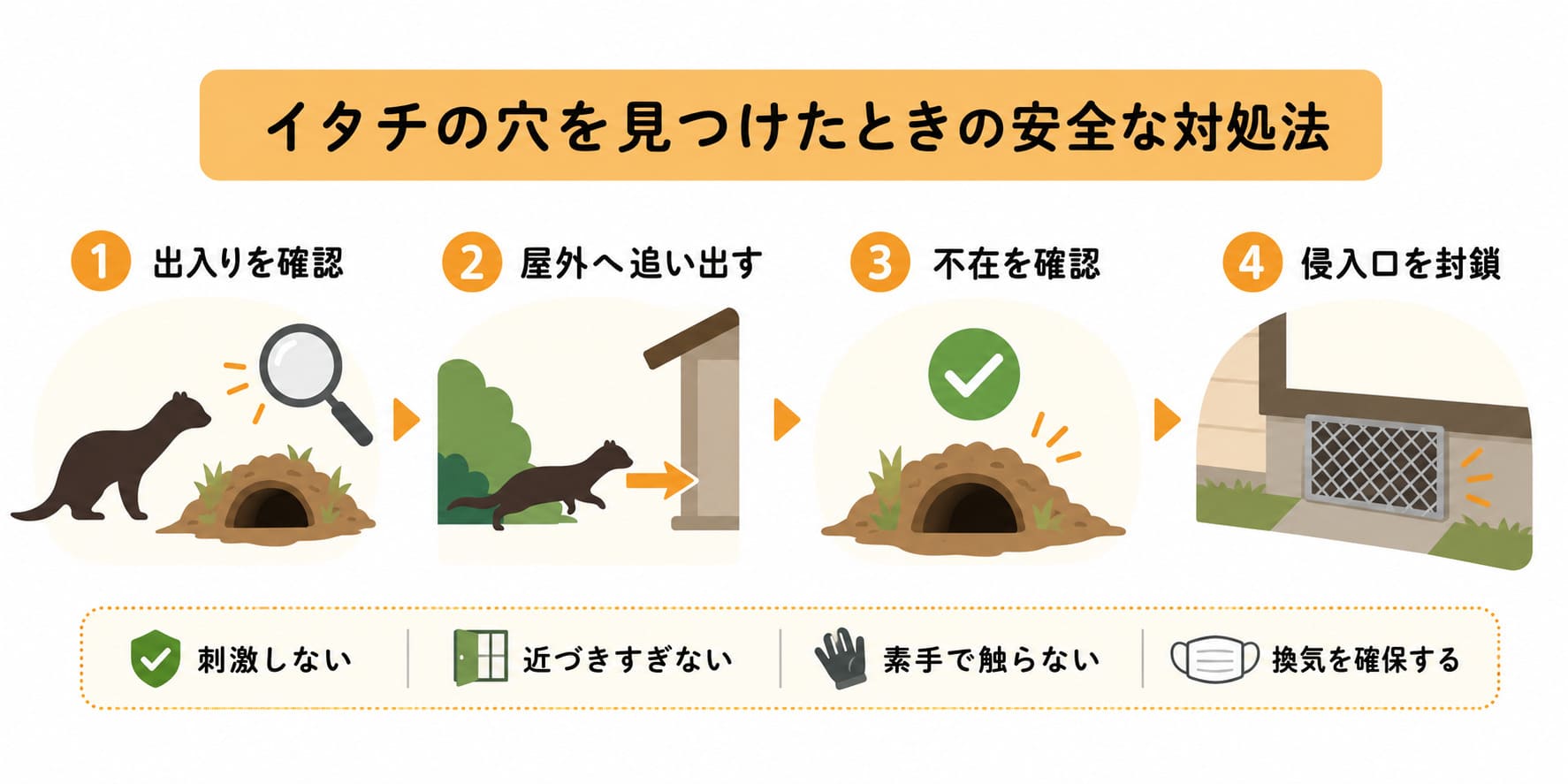 イタチの穴を見つけたときの安全な対処法